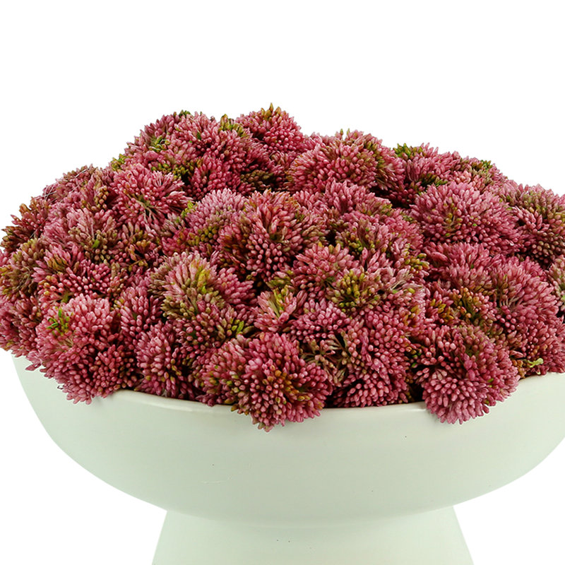 Sedum Arrangement in Ceramic Pedestal Vase, Pink