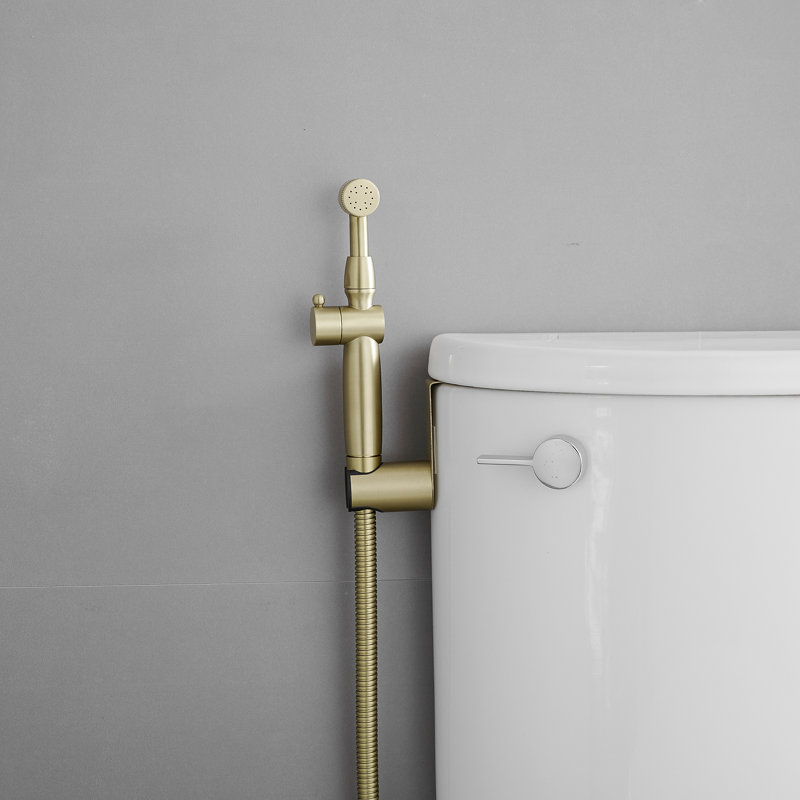 Hand Held Bidet, Brushed Gold