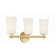 3 - Light Dimmable Vanity Light