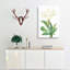 Spiderlily by Pierre-Joseph Redoute - Wrapped Canvas-55318074