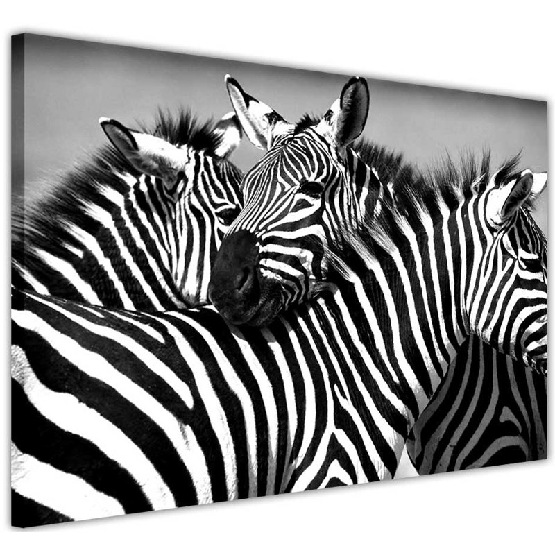 Wrapped Canvas Print, 61cm H x 91cm W