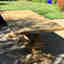 Customer photo 3 of 3