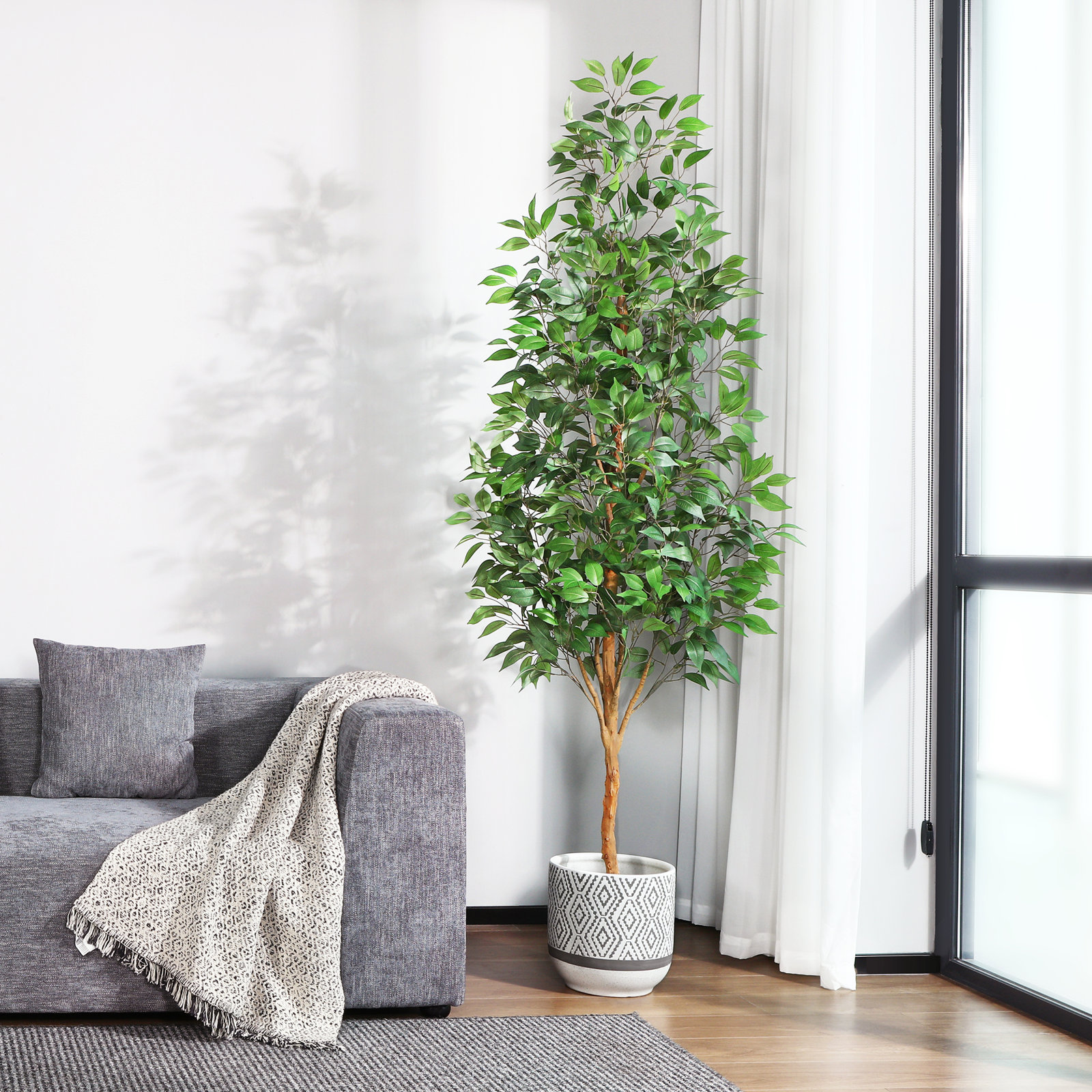 Adcock Ficus Tree in Pot, 82" H x 20" W x 20" D