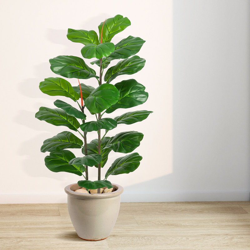 Figuier artificiel 39 po 39 po Ficus Lyrata