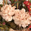 Panier floral 24 po, 24 po-329218394