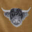 Polyester Animal Print Duvet Cover Set with Pillowcases Included-91458728