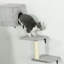 Cat Perch
