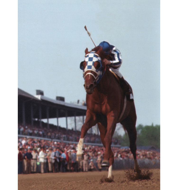 Secretariat Kentucky Derby, 24" H x 18" W