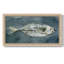 Toile encadrée de qualité supérieure Deep Sea Swimmer II - prête à être accrochée-88113094