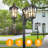 3-Head Dusk to Dawn Outdoor Lamp Post Light Fixture with Outlet
