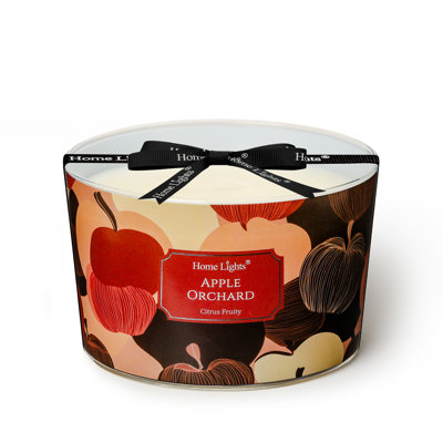 Amalfi Citrus | Homelights 4-Wick - 18Oz Soy Wax Long-Lasting Candles