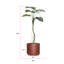 Plante artificielle en pot 64 po Philodendron