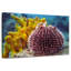Sea Urchin-921147562