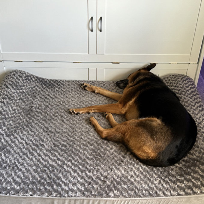 Ultra Plush Luxe Lounger Orthopedic Foam Contour Dog Bed - Chocolate, Jumbo Plus (51" W x 36" D x 8" H)