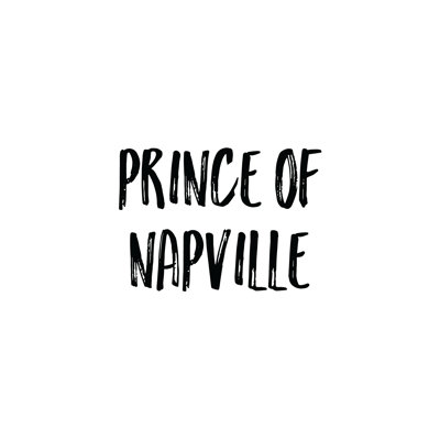 Napville Prince - Wrapped Canvas Print