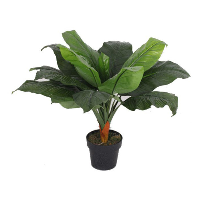 Anlin 80cm Faux Banana Tree in Pot