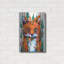 Millwood Pines 'Foxy' by Ric Stultz, Metal Wall Art, 16"x24"-1998071904