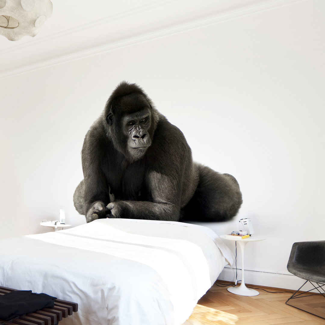 Tapete Gorilla I 192 cm L x 192 cm B Faucett