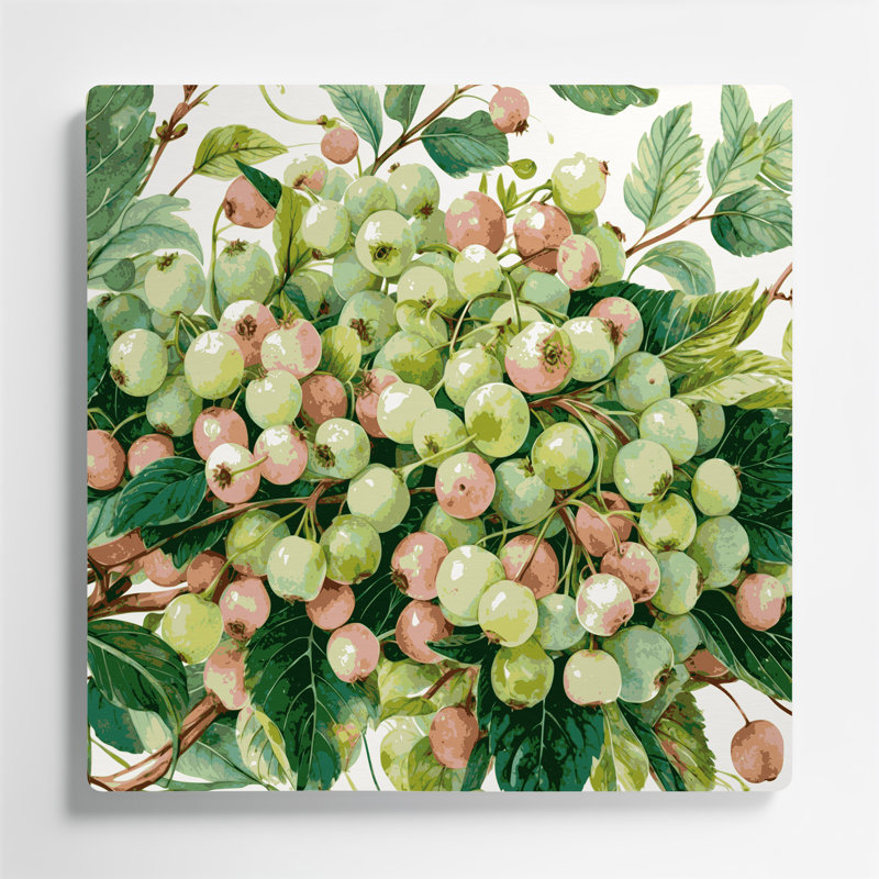 Art mural en métal «Fruit gooseberry», H 32 po x l 32 po