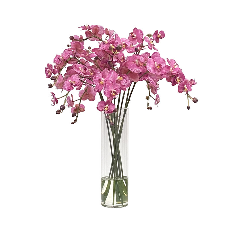 Orchid in Vase
