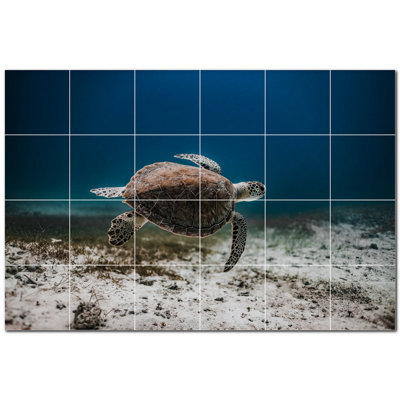 Murale en céramique satinée 6 po x 6 po Turtle Photo