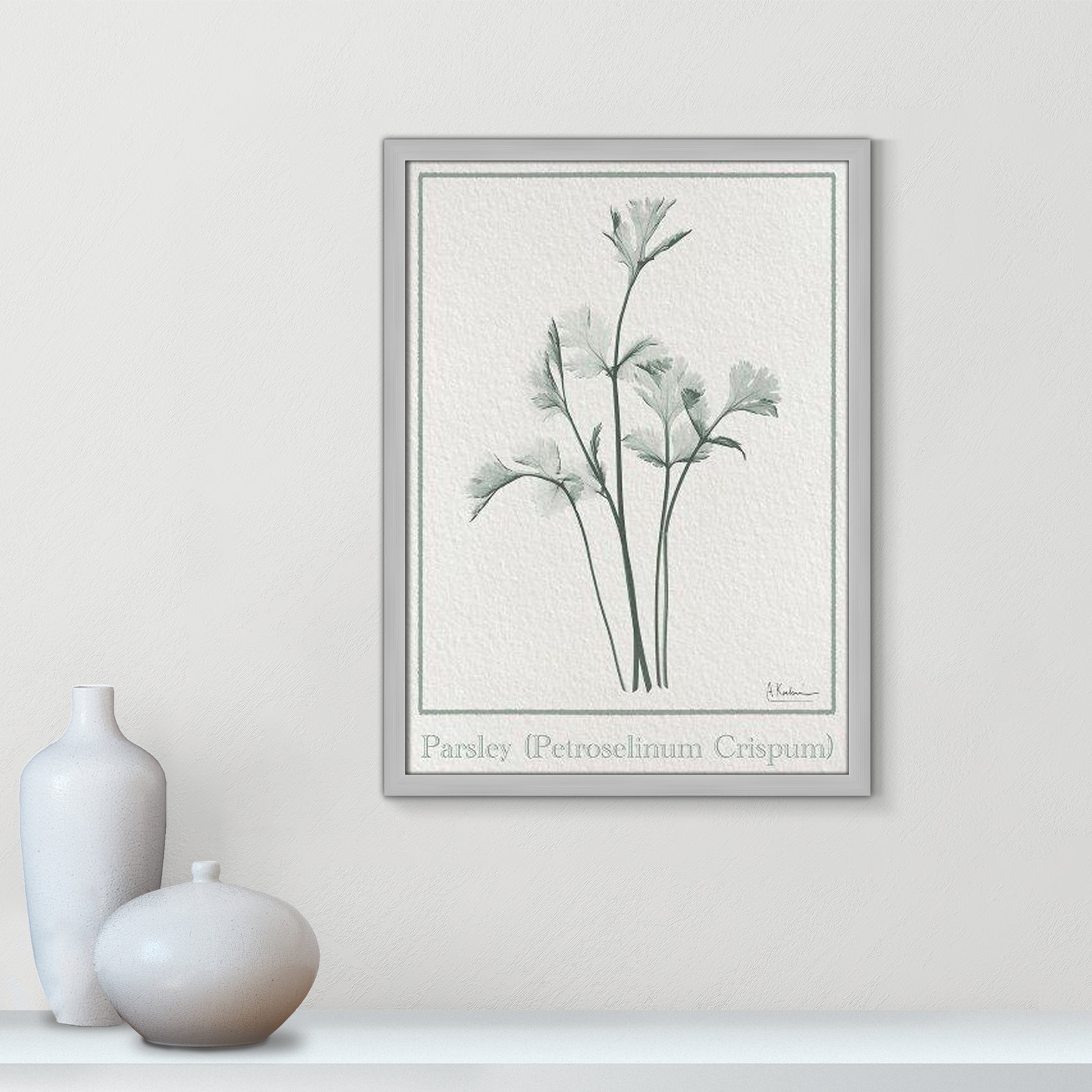 Parsley II Framed On Paper by Albert Koetsier Print, Matte Silver Framed Paper, 23" H x 17" W x 1.25" D