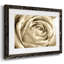 Fleur murale neutre IV-109224461-109224455