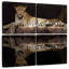 Leopard Water Reflection