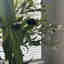 Customer photo 3 of 3
