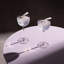 Savage 4.5 oz. Crystal Coupe Set