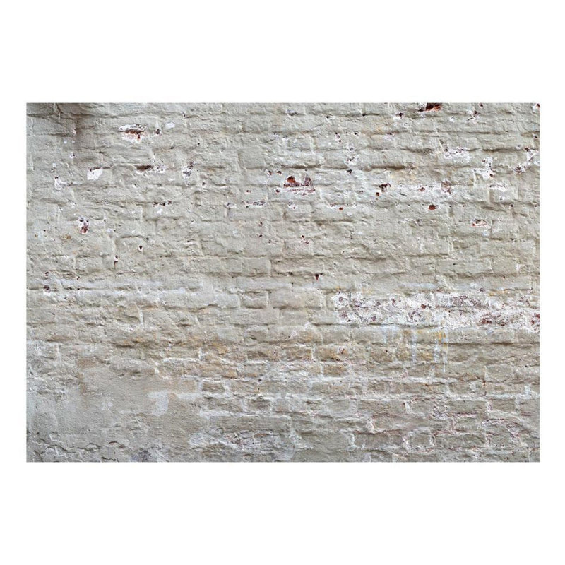 Murale brique beige vieillie, L 68 po x l 98 po