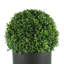 Outdoor UV-Rated Boxwood Ball in Fiberstone Planter