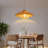 Anuva Chandelier Farmhouse Bohemian Pendant Light Fixture Adjustable Height E26