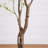 6ft. Artificial Deluxe Cherry Blossom Tree