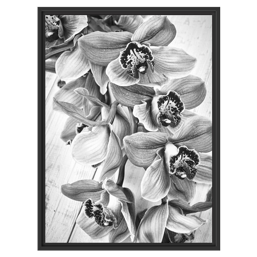 Gerahmtes Wandbild Rosane OrchideenblÃ¼ten Kunst B&W