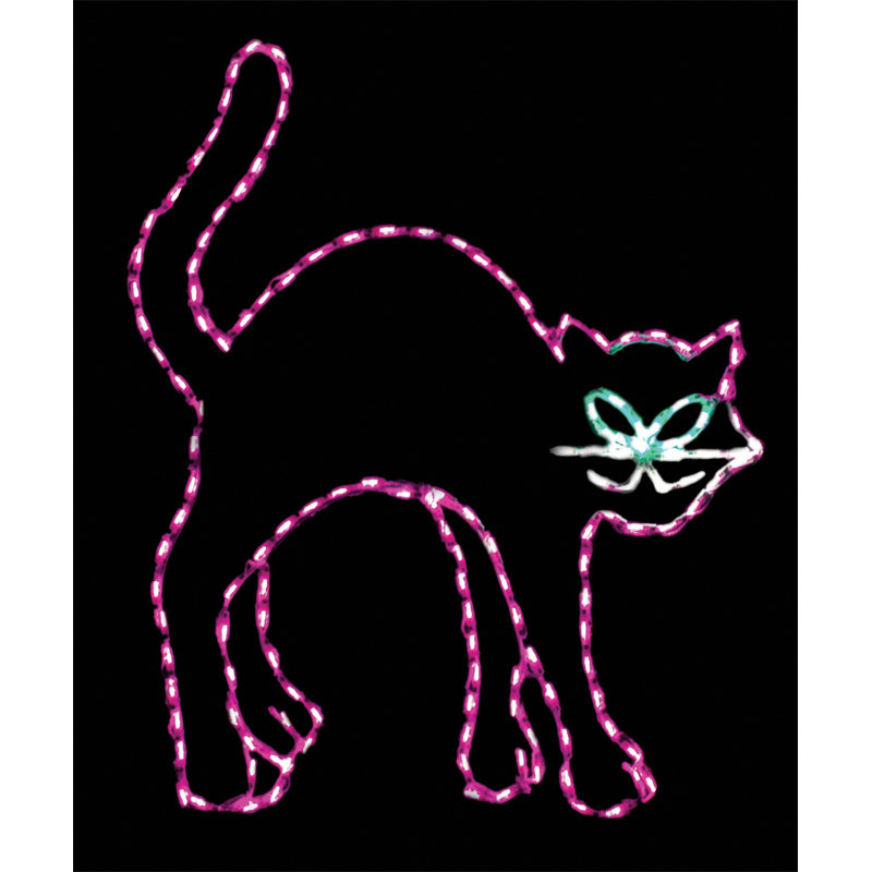 Affichage éclairé par chat noir de led