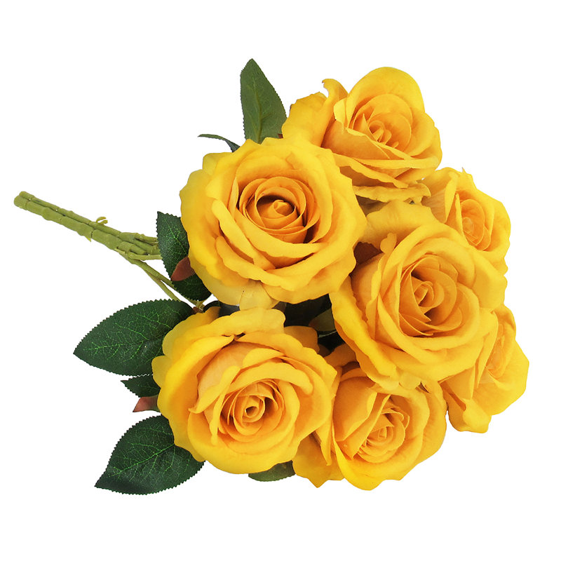 Velours rosier, Jaune