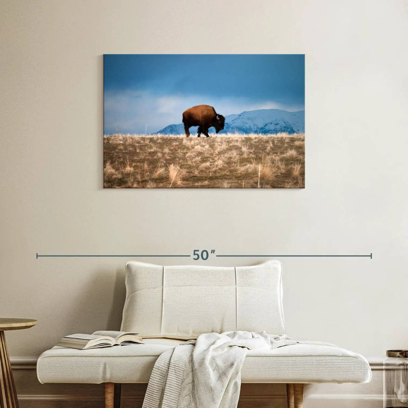Brampt Antelope Island Bison