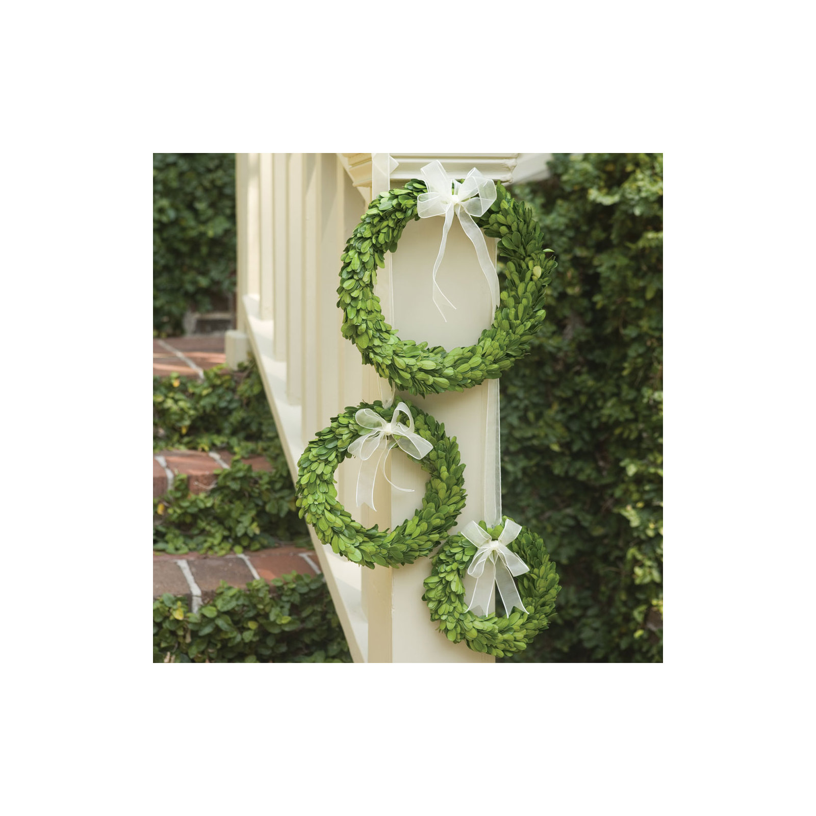 10'' Preserved Boxwood Wreath, White