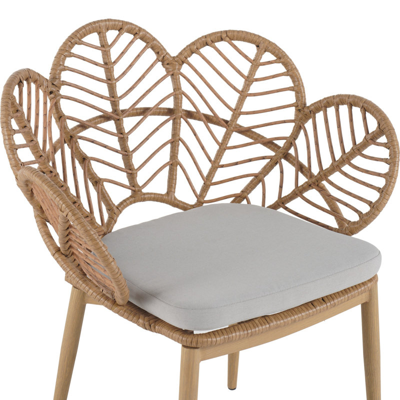 Chaise d'extérieur en forme de paon en osier de style papasan, ensemble de 2