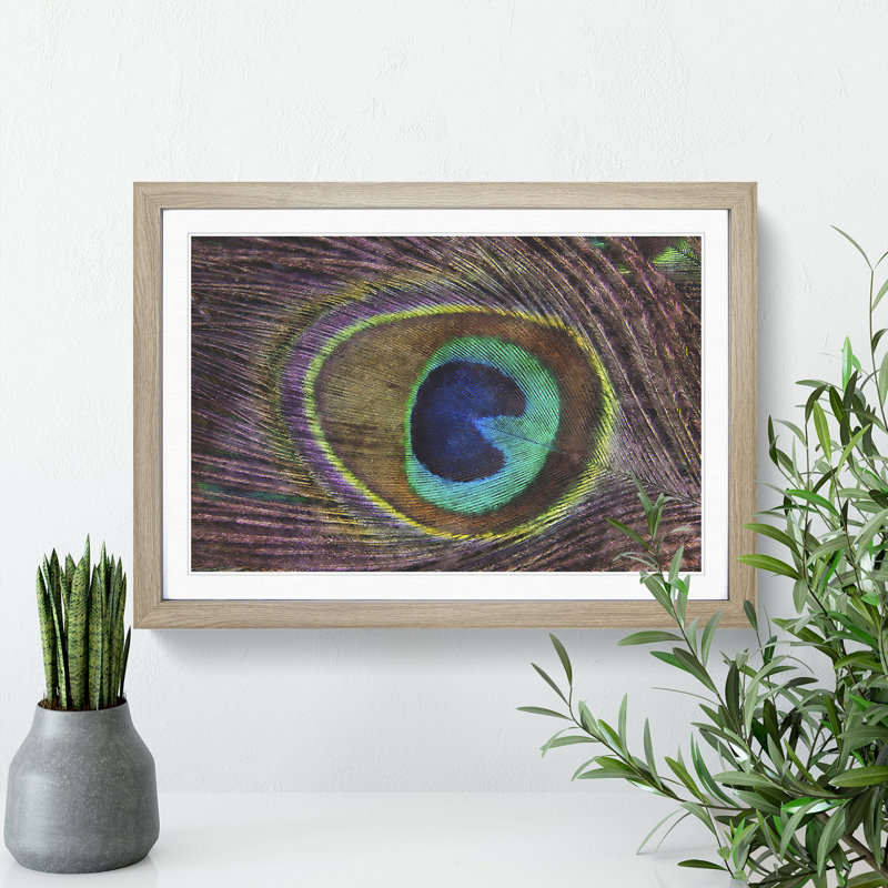 Peacock Feather - Framed Print, 48cm H x 65cm W x 2cm D, Oak Framed