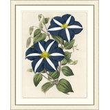 Blue Blossom 1 Print