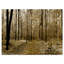 Vue panoramique de la forêt boisée - reproduction de photo sur toile-63568057