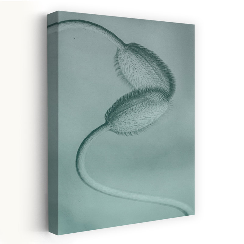 Molly Fu APA - Wrapped Canvas Print, 152.4 cm H x 101.6 cm W