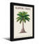 Plantes et fleurs Kapok Tree Botanical Illustration-1835124014-1835124013-1835124002