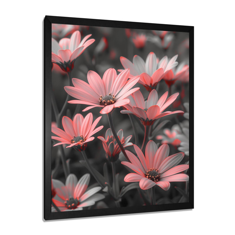 Monochromes roses et noirs marguerites photo III - marguerites, impression d'art mural, Encadrement argenté