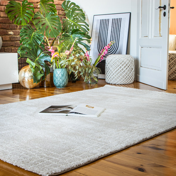 Canyon Southwestern Area Rug, Rectangle 120 x 170cm, Cream