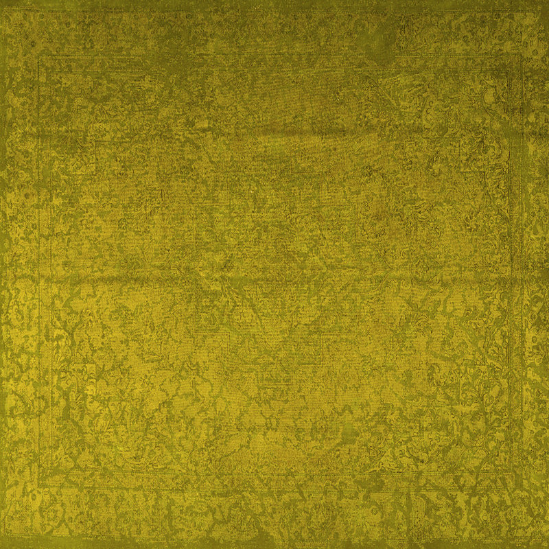 Viane Performance Oriental Indoor Rug, Square 7'