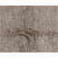 Hand Knotted Area Rug in Beige