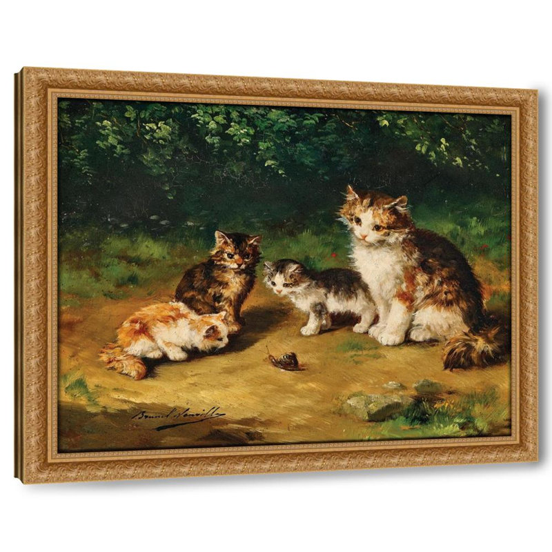 Curious kittens with snail